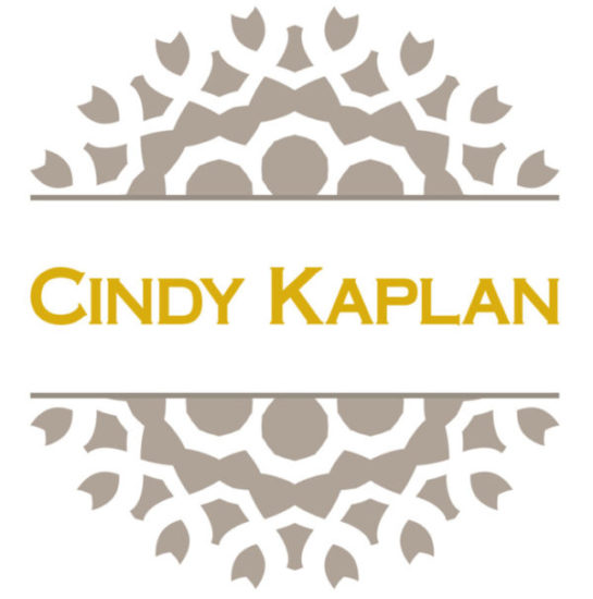 Cindy Kaplan Logo